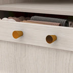 Grande armoire en verre dépoli — Rangement polyvalent