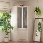 Grande armoire en verre dépoli — Rangement polyvalent